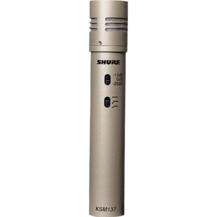 SMALL-DIAPHRAGM, END-ADDRESS CONDENSER MICROPHONE FOR PROFESSIONAL RECORDING AND