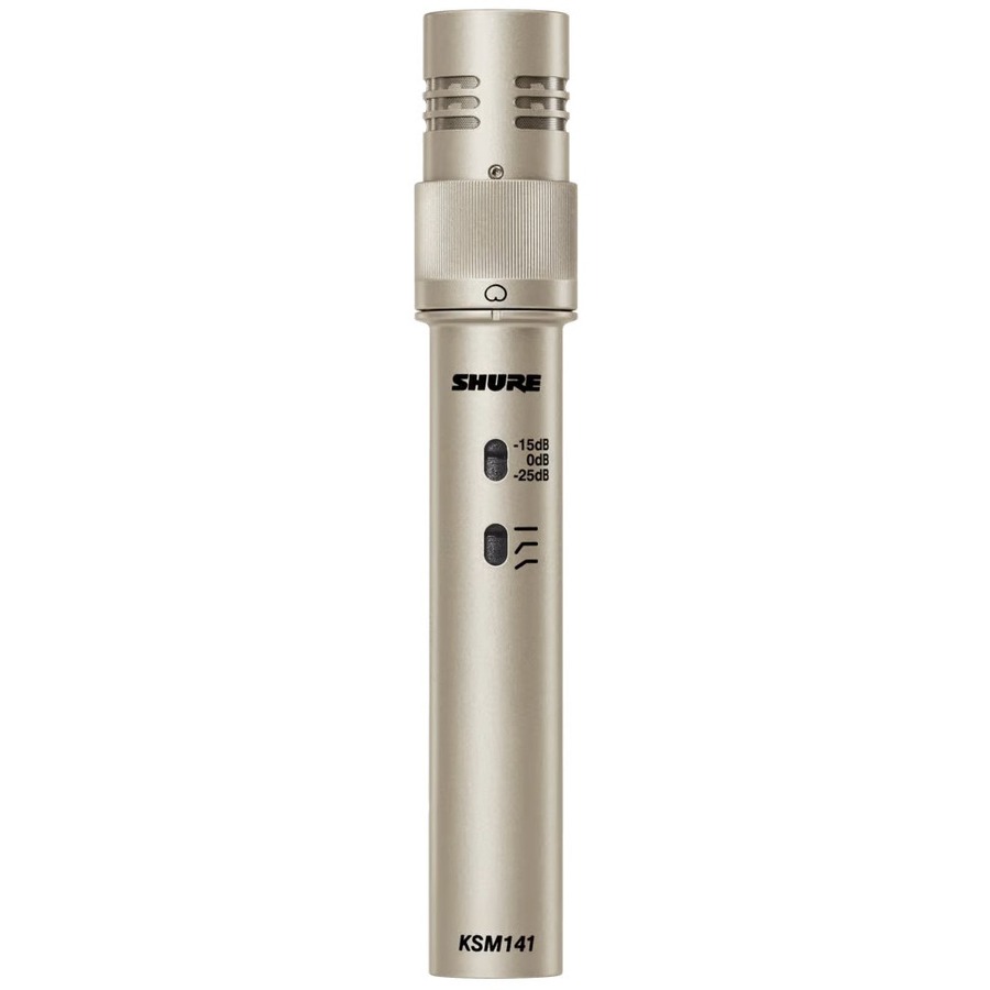 STEREO PAIR, SMALL-DIAPHRAGM, END-ADDRESS CONDENSER MICROPHONE FOR PROFESSIONAL