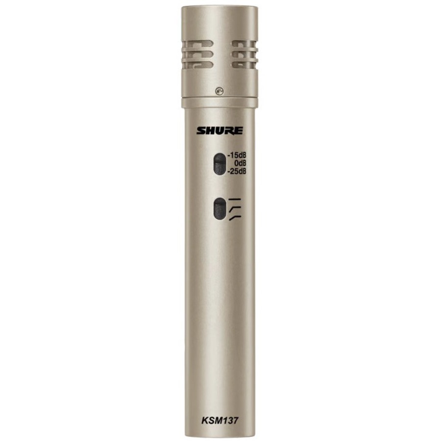 STEREO PAIR, SMALL-DIAPHRAGM, END-ADDRESS CONDENSER MICROPHONE FOR PROFESSIONAL