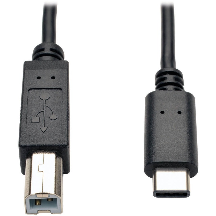 6ft USB 2.0 Hi Speed Cb B Male