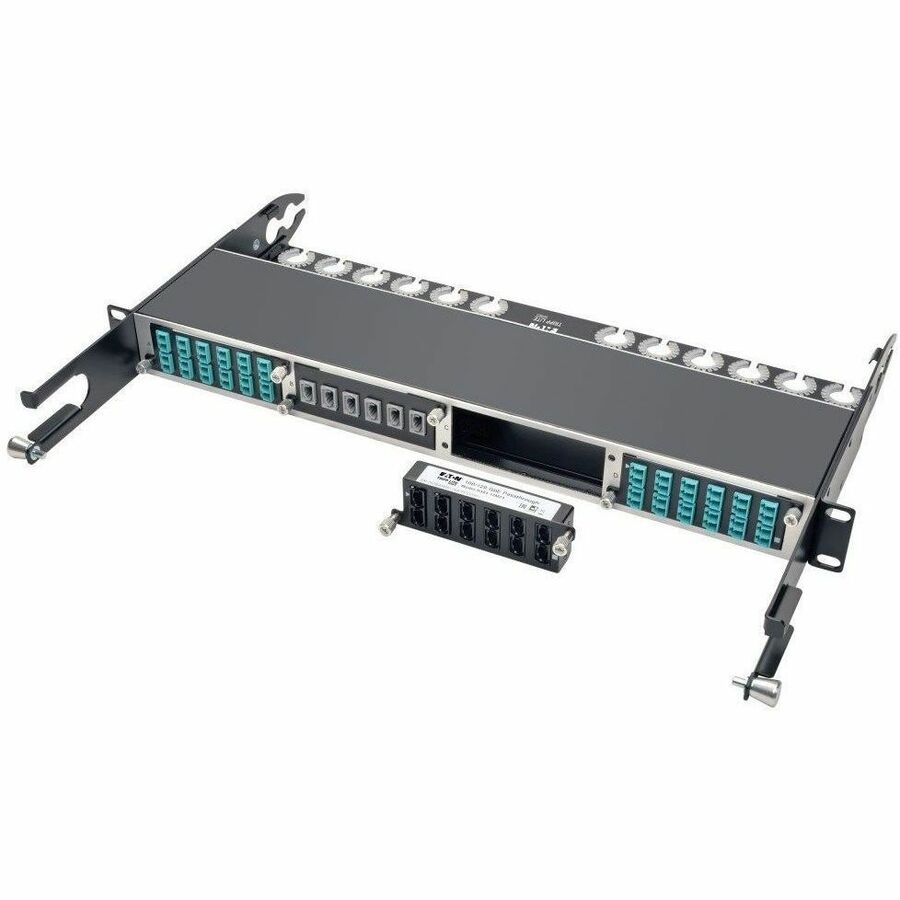 100Gbe Pass Thru Casete 24 FBR