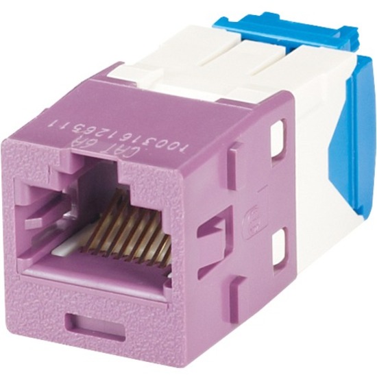 24PK MINI COM MOD CAT6A VIOLET TG STYLE.