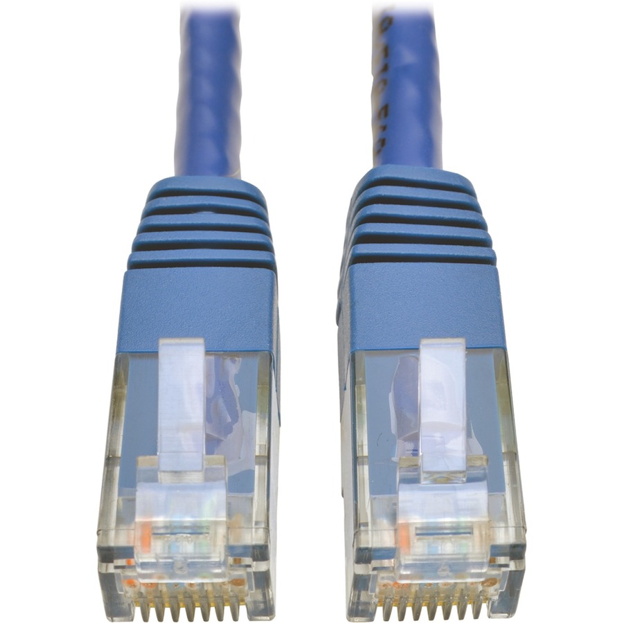 6' Cat6 Molded Patch Cbl BLU