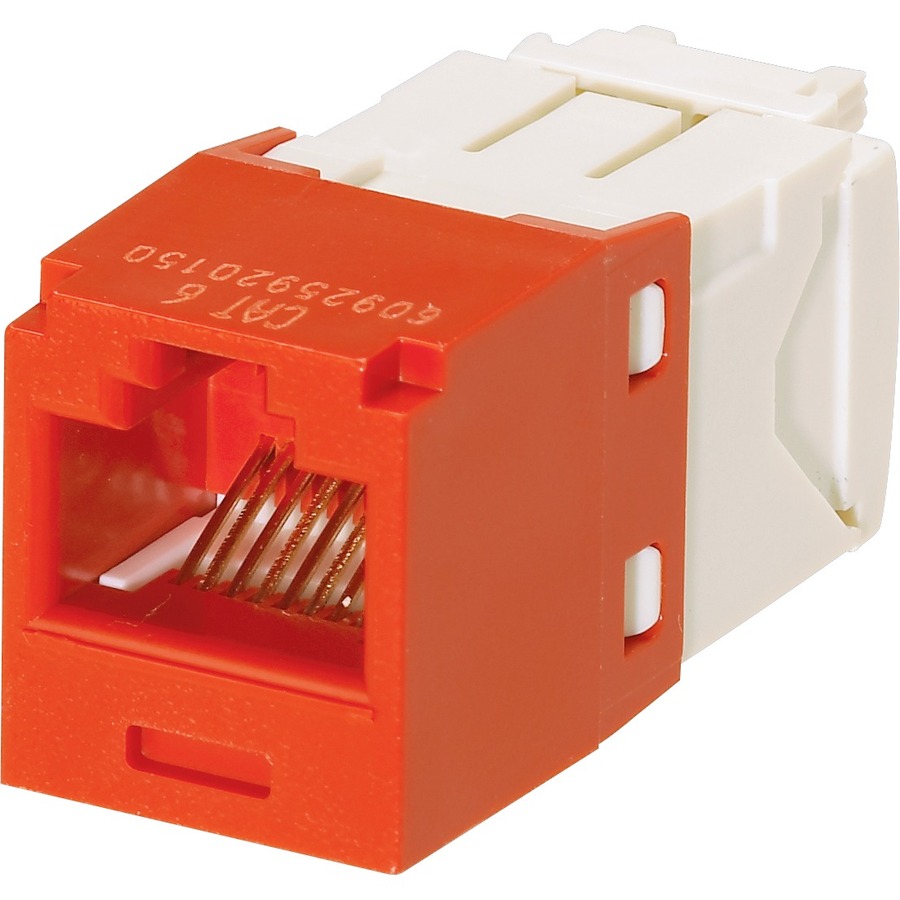 24PK CAT6 RJ45 8POSITION 8 WIRE BULK PKG
