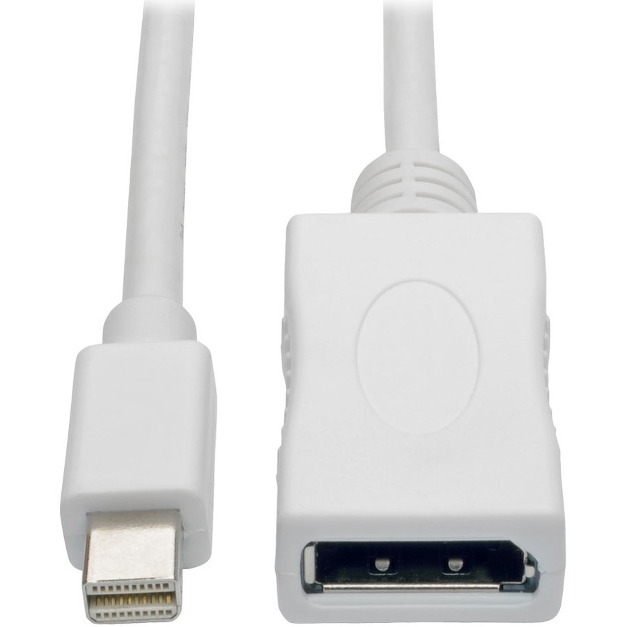 10ft Mini DisplayPort to Displ