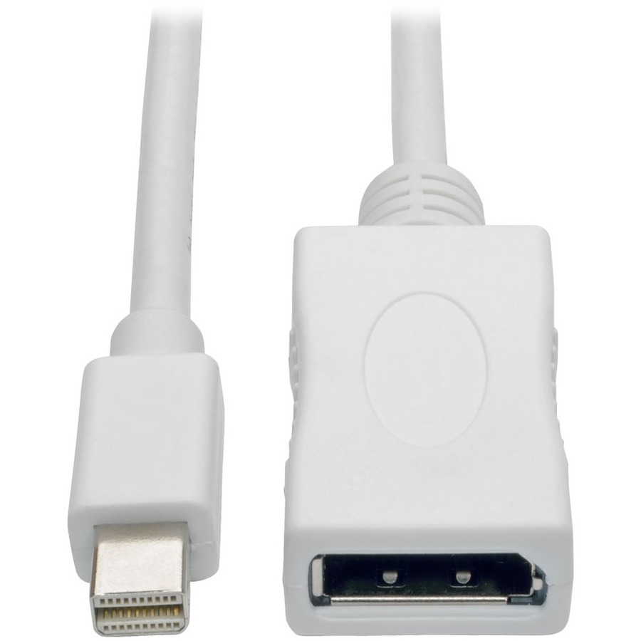 3ft Mini DisplayPort to Displa