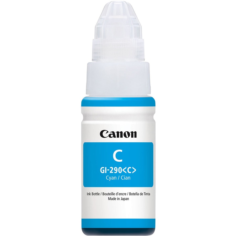 GI-290 CYAN INK BOTTLE  NO RETURNS