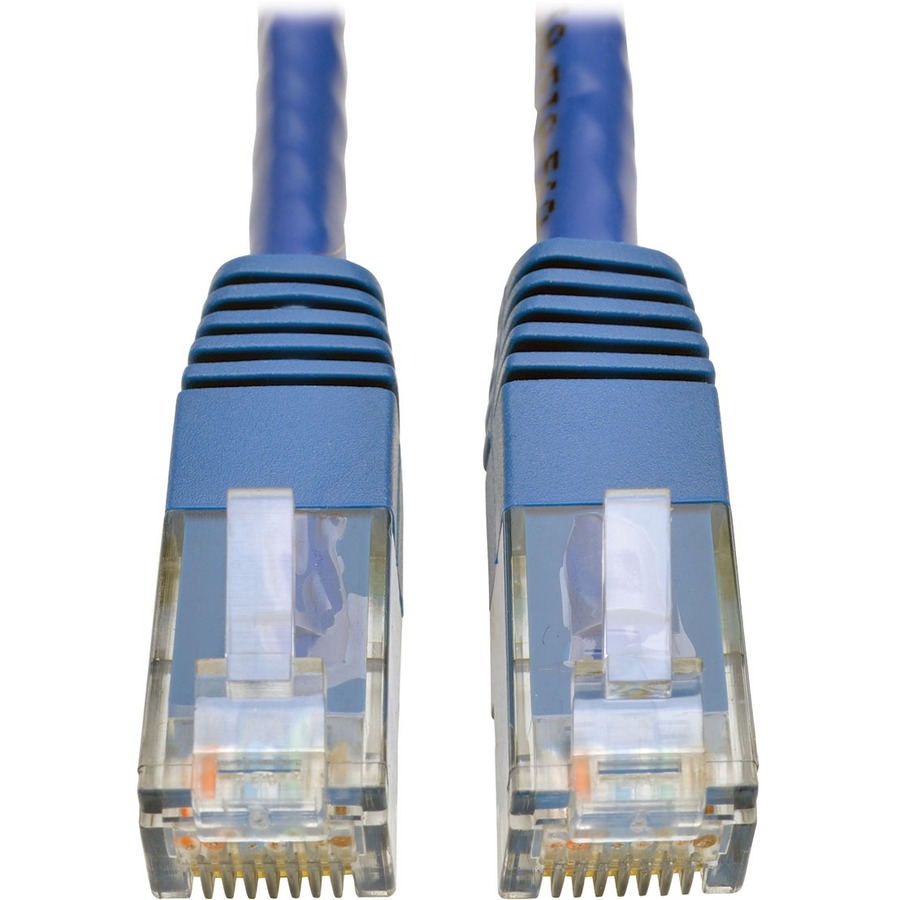 35' Cat6 Mlded Ptch Cbl Blue