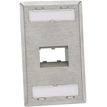 FACEPLATE 2PT SG SLOPED RECESSED SS EA