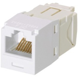 MOD CAT6 UTP 8P 8W UNIV WHT PK100