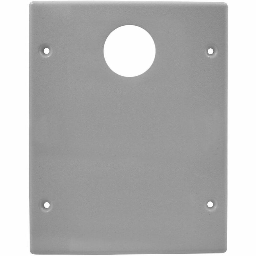 RACEWAY, PLT, 2G 1DUP 1BNK, HBL6750, GY - COVER PLATES HELP TO CONCEAL UNSIGHTLY