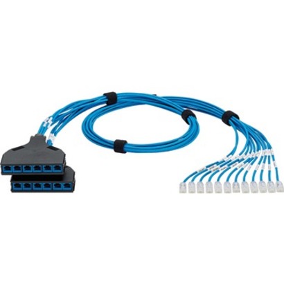 14FT QN SWPT HNS CAT6 28AWG BU 12MP 2PTC