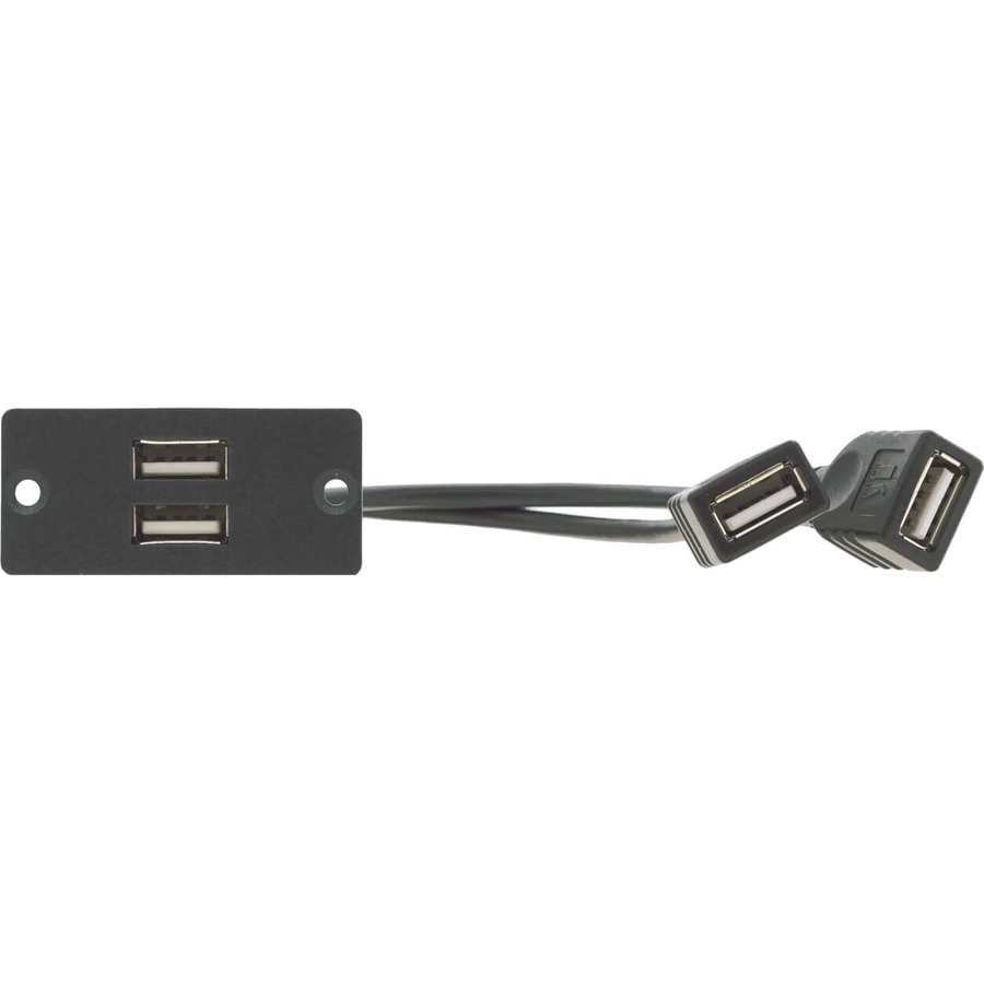 WALL PLATE INSERT - 2 X USB 2.0 (A/A)