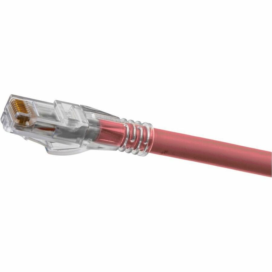 P-CORD, ASCENT,CAT6A,SLIM,PK,75FT