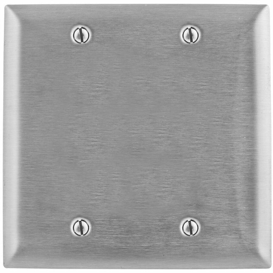 WALLPLATE, JUMBO, 2-G, BLANK, SS