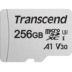 256GB MICROSD W/ ADAPTER UHS-I U3 A1