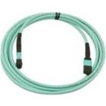 10M NETWORKING MPO TYPE B