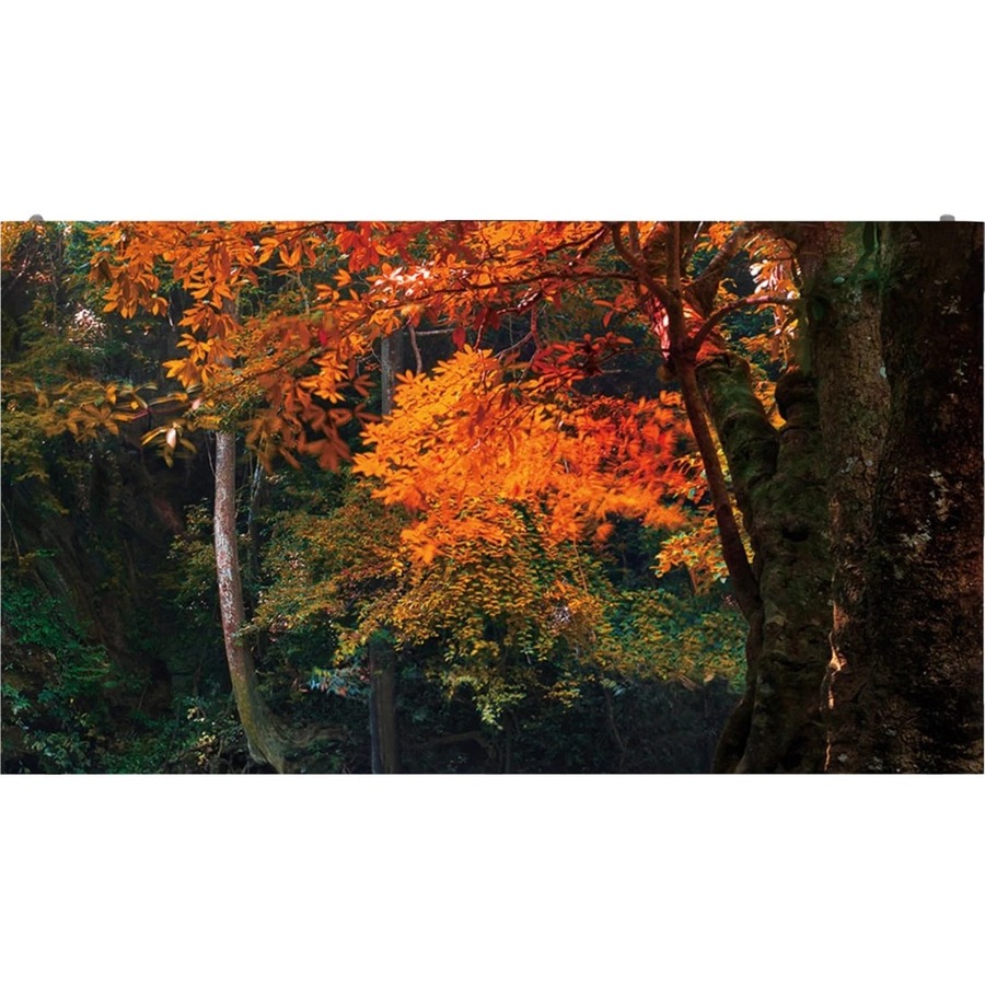 1.89MM PIXL PITCH 600CD M2 16 9