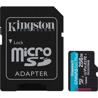 Kingston Canvas Go! Plus, 256GB microSDXC Memory Card With Adapter, Class 10, UHS-I, U3, V30, A2, Up to170MB/s Read and 90MB/s Write (SDCG3/256GBCR)