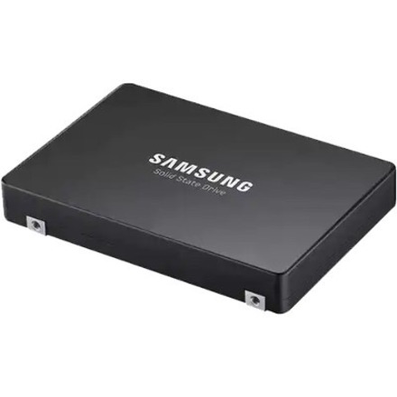 U.2 PM1733 3.84TB EN NVME SSD