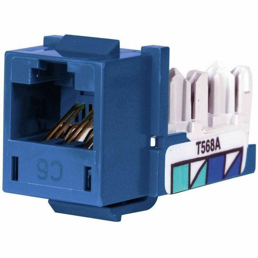 JACK, HXJ,CAT6,8POS,UNI A/B,BL,24PK