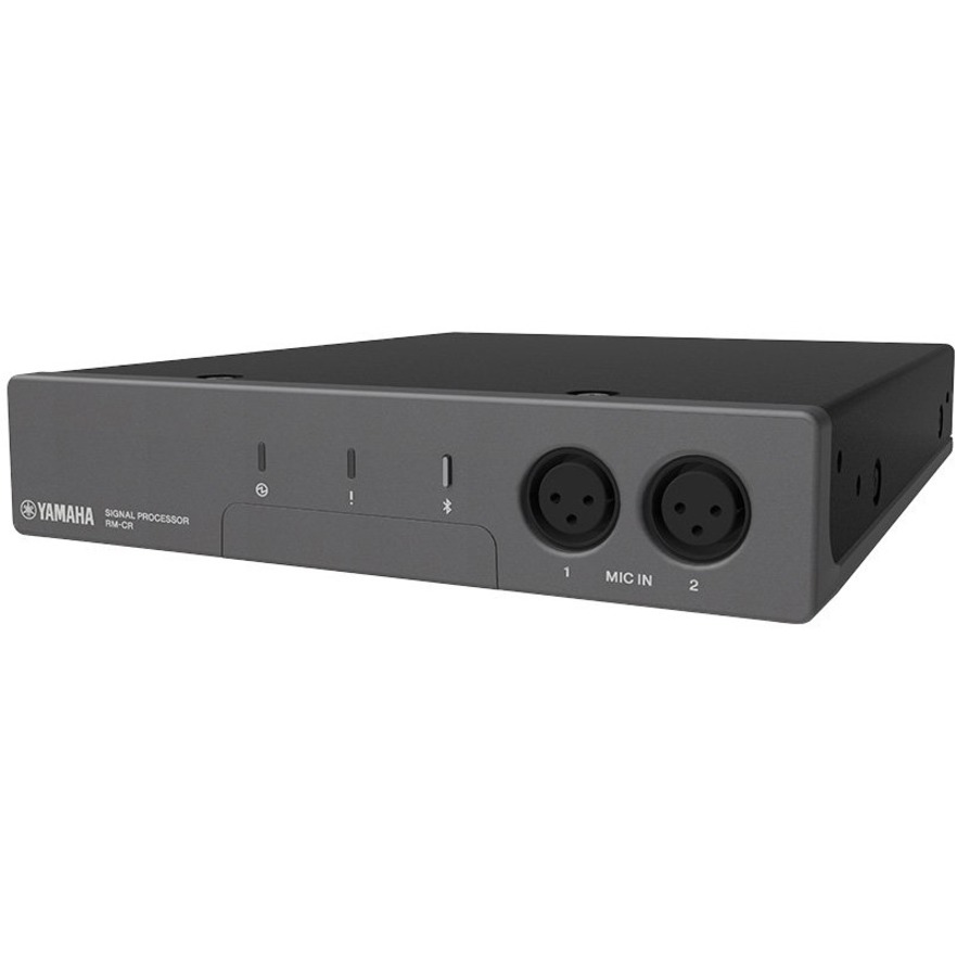 RM AUDIO PROCESSOR