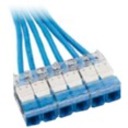 25FT COPQN TRNK CAT6 UTP RIS CASS BU STD