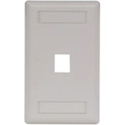 PLATE, WALL,FLUSH,1-G,1PORT,OW