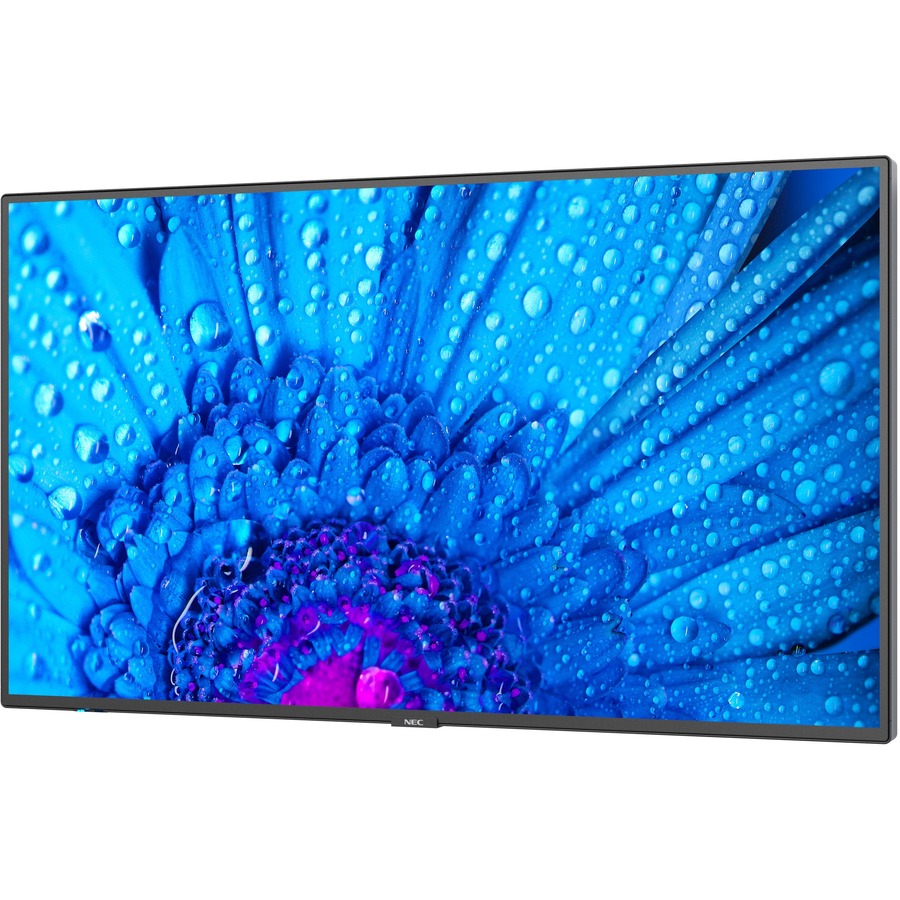 43IN 3YR WARR NEC PRO DISP 4K UHD LANDSCAPE/PORTRAITHIGH HAZE