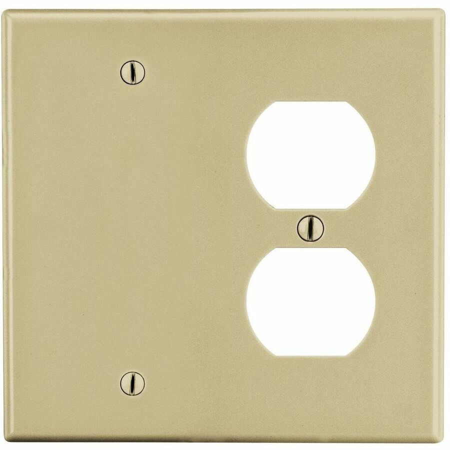 WALLPLATE, 2-G, 1) DUP 1) BLANK, IV