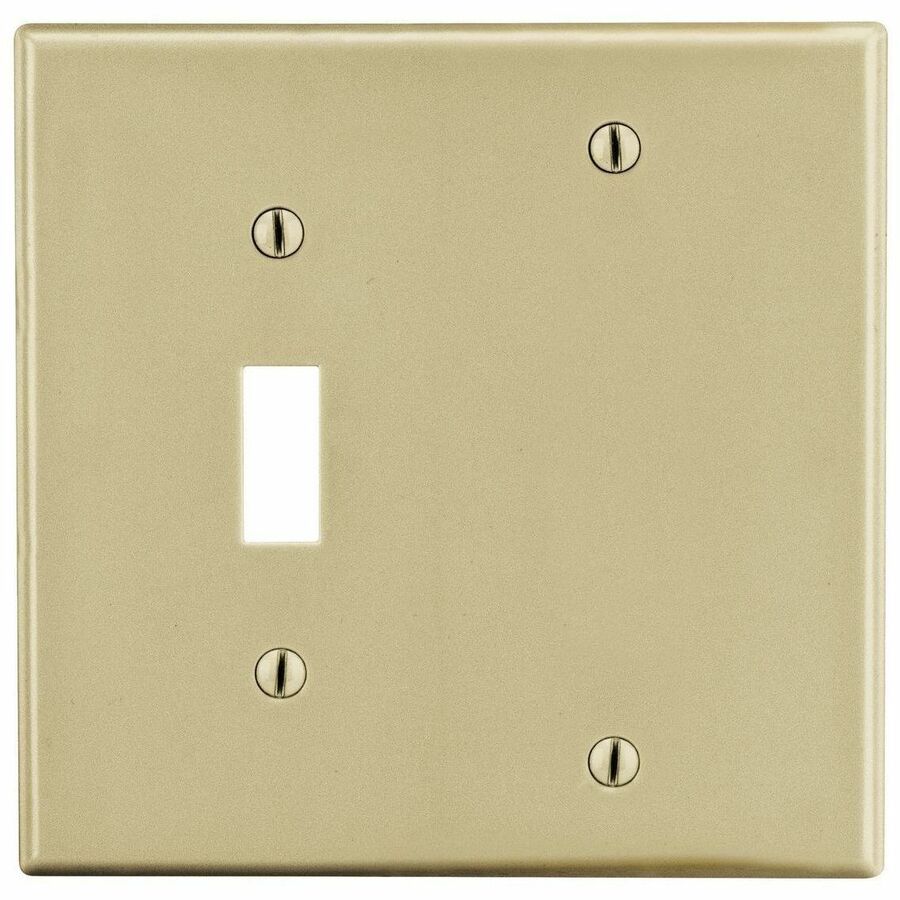 WALLPLATE, M-SIZE 2G, 1) TOG 1) BLANK IV