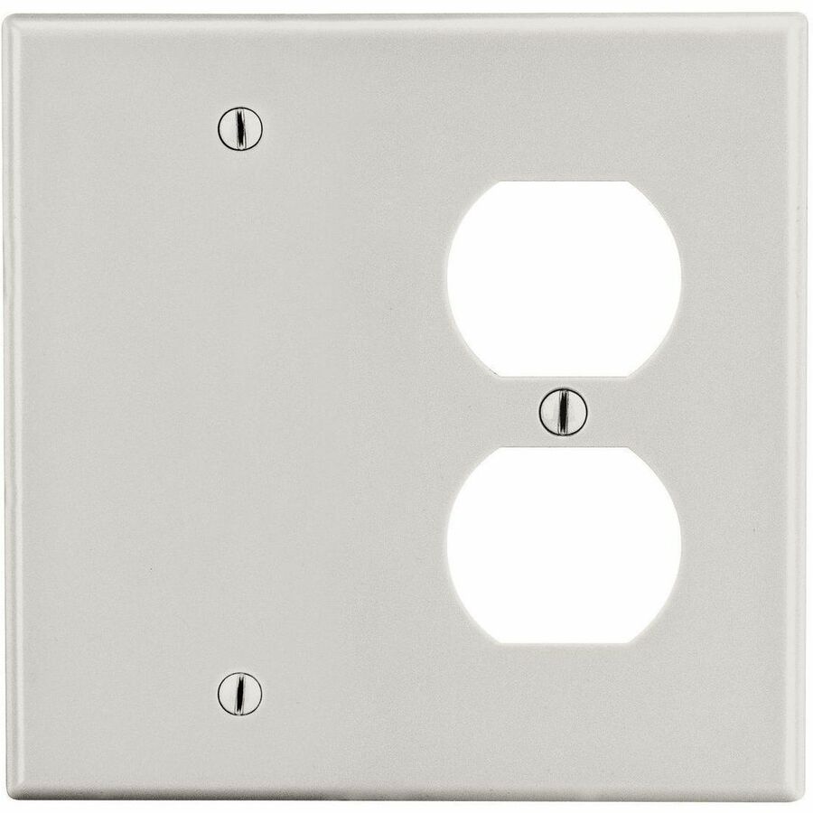 WALLPLATE, 2-G, 1) DUP 1) BLANK, LA