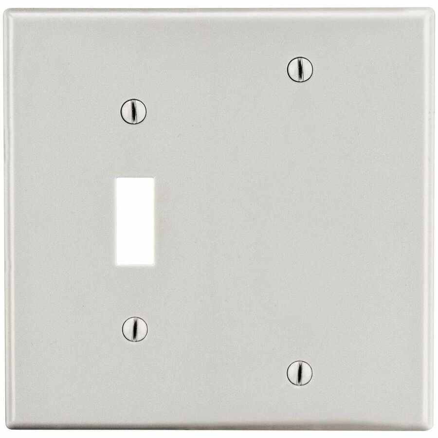 WALLPLATE, M-SIZE 2G, 1) TOG 1) BLANK LA