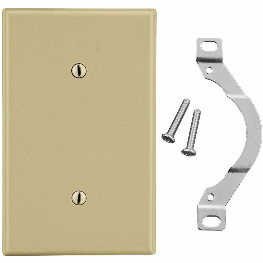 WALLPLATE, 1-G, STRP MT BLANK, IV