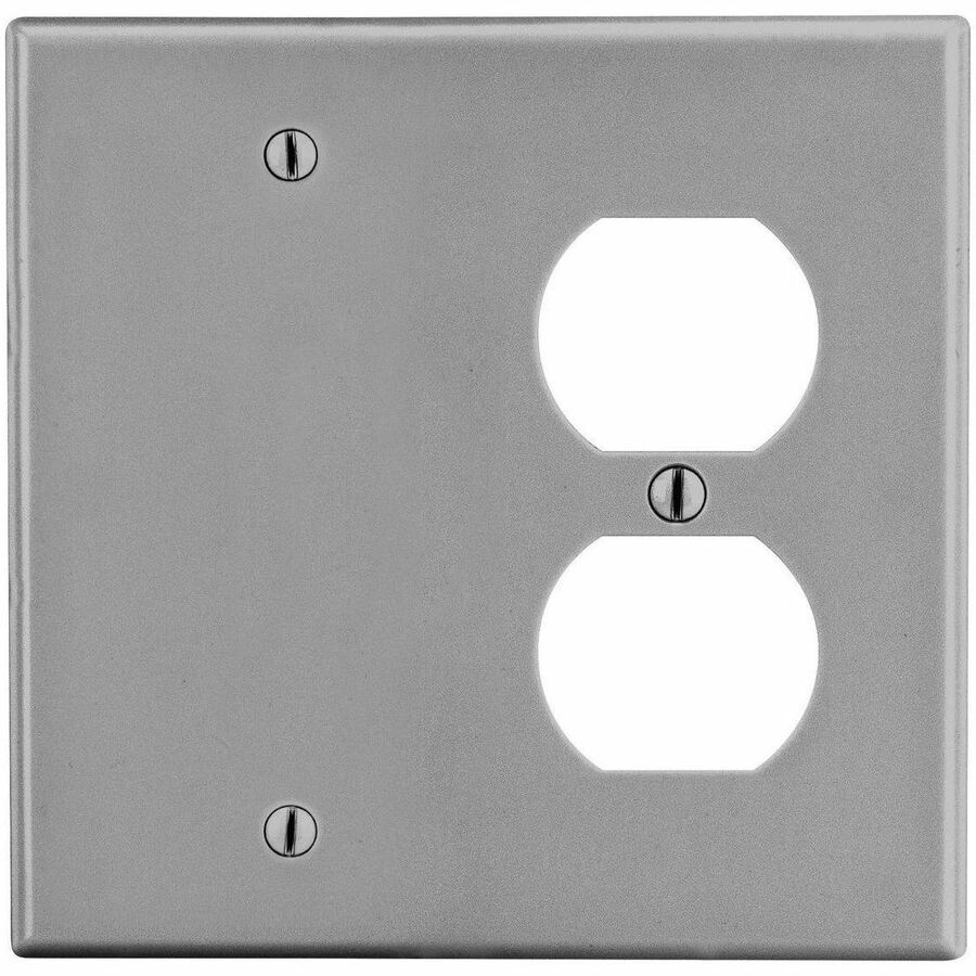 WALLPLATE, 2-G, 1) DUP 1) BLANK, GY