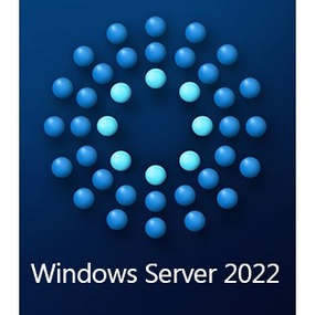 Microsoft Windows Server 2022 Standard 16-Core License - with DVD media - DSP OEM Pack (P73-08328)