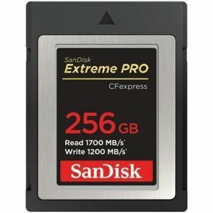 Ext. Pro CFexpress TypB 256GB