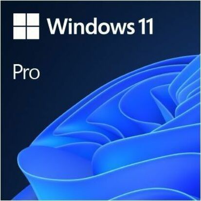 Microsoft Windows 11 Pro 64-Bit - English USB - Retail Pack (HAV-00162)