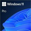 Microsoft Windows 11 Pro 64-Bit - English USB - Retail Pack (HAV-00162)