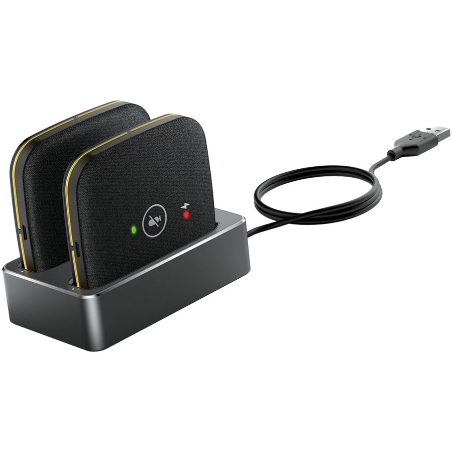 1304026 CPW65-DECT-DUO