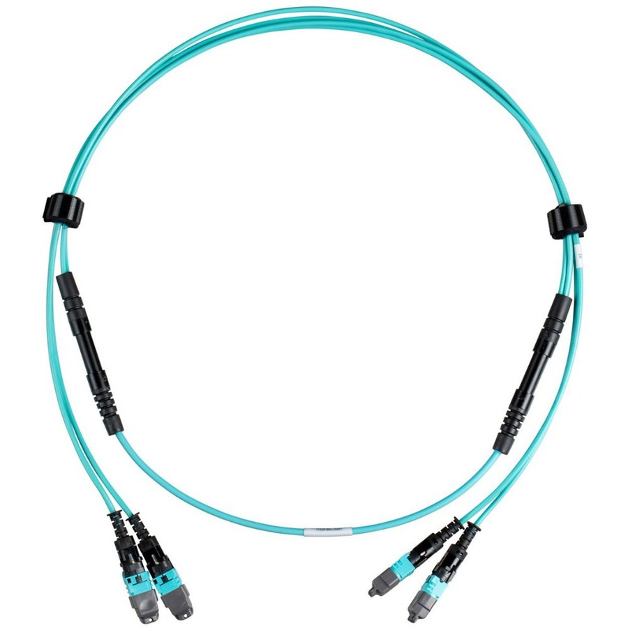 OM4 24-FI P FE-FE 24IN POLB OIL 30FT PK1