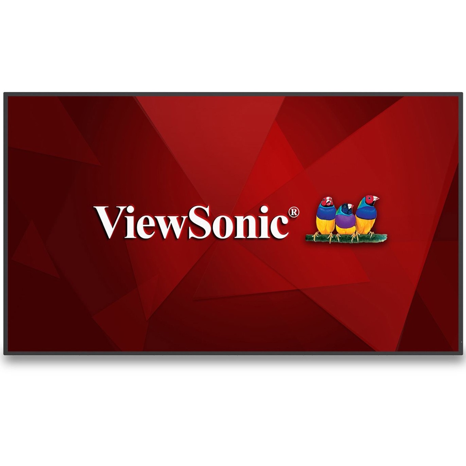 43" 4K UHD Wireless Presentation Display, 24/7 operation, 3840x2160, 450 nits, 1200:1, HDMI 2.1 in x 3, USB-C x 1, HDMI out x 1