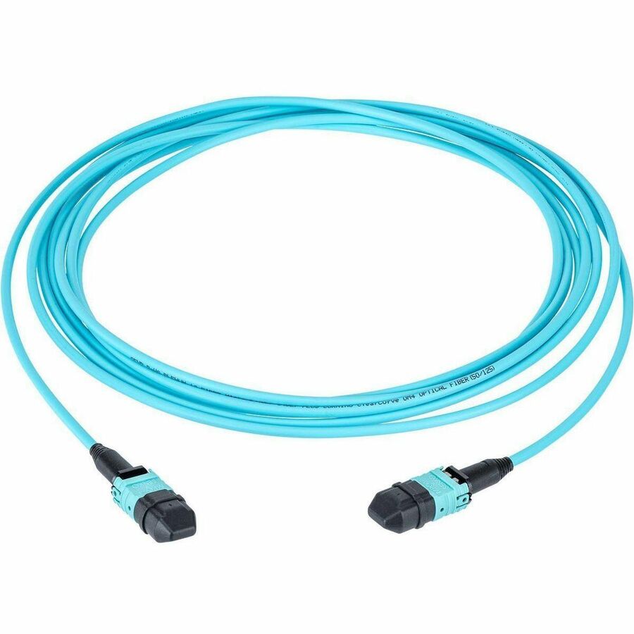 FBR,CORD,P,12F,MPO,TYPB,OM4,10FT,NP
