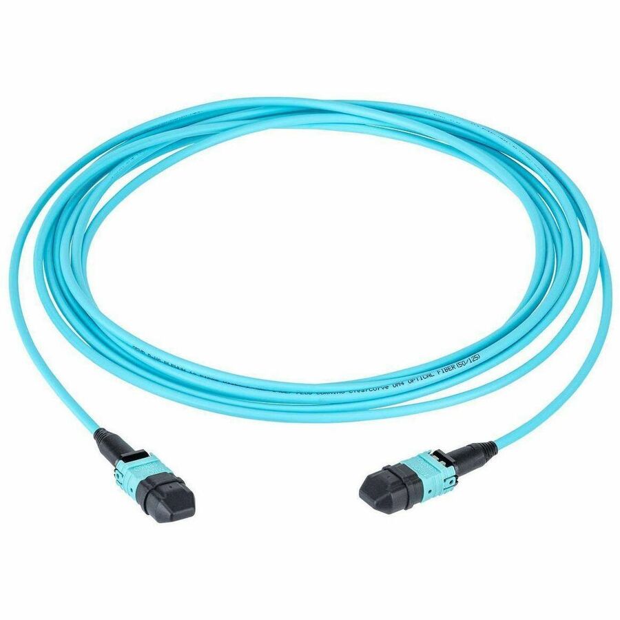 FBR,CORD,P,12F,MPO,TYPB,OM4,3FT,NP