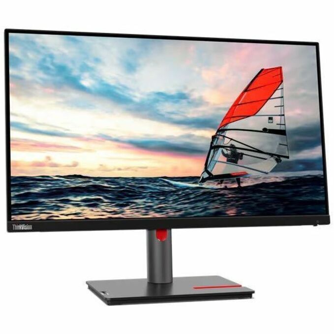 P25i30 24.5inch MonitorHDM