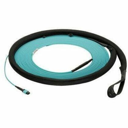OM4 24-FBR ISDT FEM POLB END-A 25 FT PK