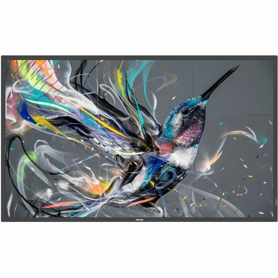 50IN EPEAT SLIVER CLIMATE+CERTIFIED PROSUMER 18/7 DISPLAY, UHD (3840X2160), 300C