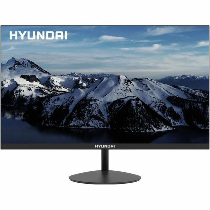 24IN LCD FLAT MONITOR 60HZ GTG