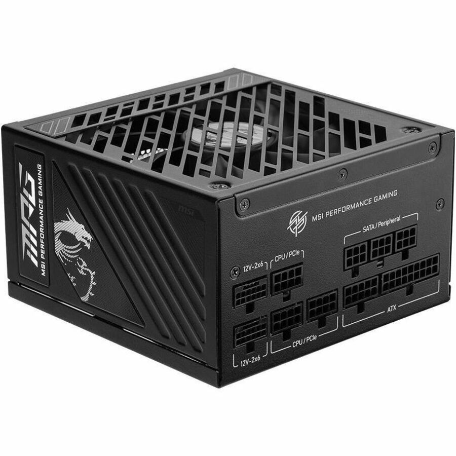 MPG A1000GS PCIE5