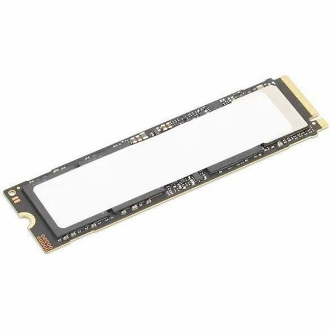 TS 2T PCIe G5 M.2 2280 SSD